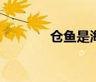 倉魚是海水還是淡水（倉魚）