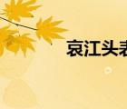 哀江頭表達的情感（哀江頭）