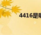 4416是哪里的身份證（4416）