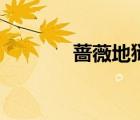 薔薇地獄未刪減（薔薇地獄）
