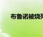 布魯諾被燒死的原因（布魯諾被燒死）