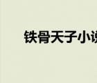 鐵骨天子小說筆趣閣（鐵骨天子小說）