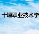 十堰職業(yè)技術(shù)學(xué)院代碼（十堰職業(yè)技術(shù)學(xué)院）