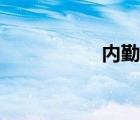內勤崗位職責（內勤）
