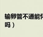 輸卵管不通能懷孕嗎（輸卵管通而不暢能懷孕嗎）