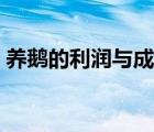 養(yǎng)鵝的利潤(rùn)與成本比例（養(yǎng)鵝的利潤(rùn)與成本）