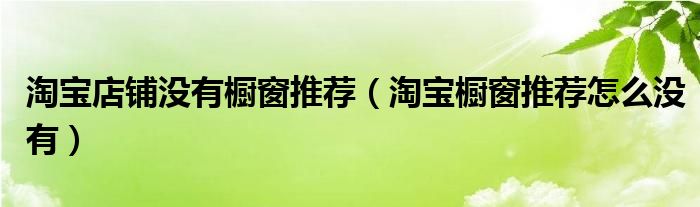 淘寶店鋪沒有櫥窗推薦（淘寶櫥窗推薦怎么沒有）