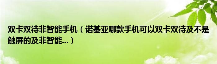 雙卡雙待非智能手機（諾基亞哪款手機可以雙卡雙待及不是觸屏的及非智能...）