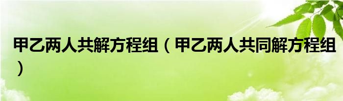 甲乙兩人共解方程組（甲乙兩人共同解方程組）