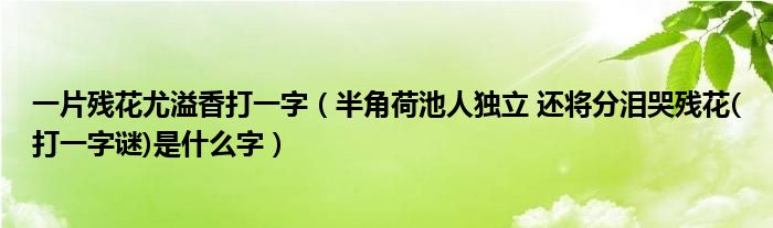 一片殘花尤溢香打一字（半角荷池人獨立 還將分淚哭殘花(打一字謎)是什么字）