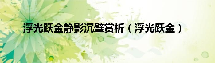 浮光躍金靜影沉璧賞析（浮光躍金）