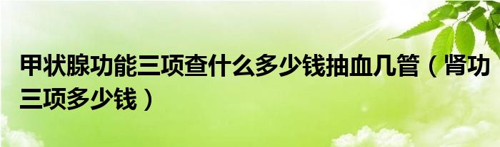 甲狀腺功能三項查什么多少錢抽血幾管（腎功三項多少錢）