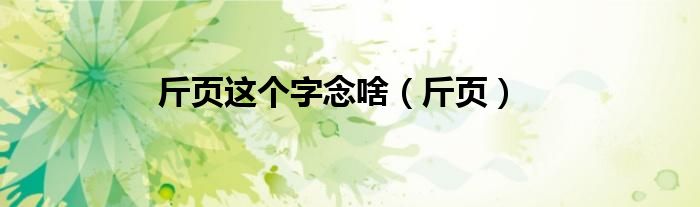 斤頁(yè)這個(gè)字念啥（斤頁(yè)）