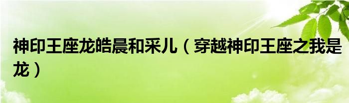 神印王座龍皓晨和采兒（穿越神印王座之我是龍）