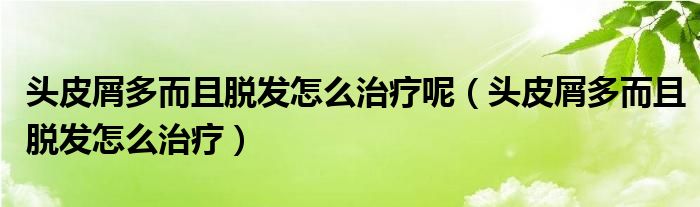 頭皮屑多而且脫發(fā)怎么治療呢（頭皮屑多而且脫發(fā)怎么治療）