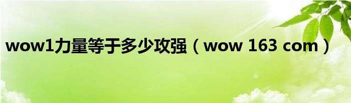 wow1力量等于多少攻強（wow 163 com）