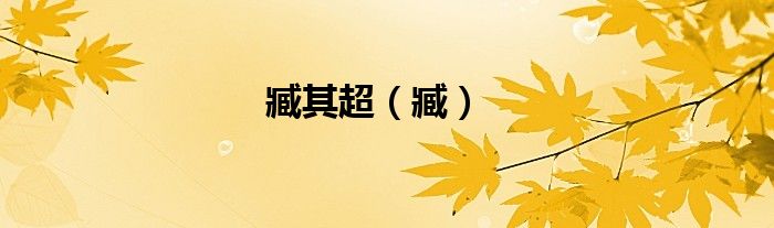 臧其超（臧）