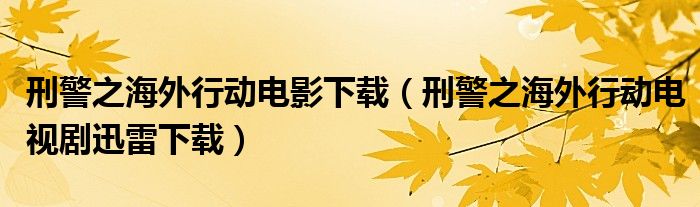 刑警之海外行動(dòng)電影下載（刑警之海外行動(dòng)電視劇迅雷下載）