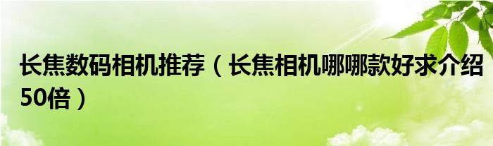 長焦數碼相機推薦（長焦相機哪哪款好求介紹50倍）