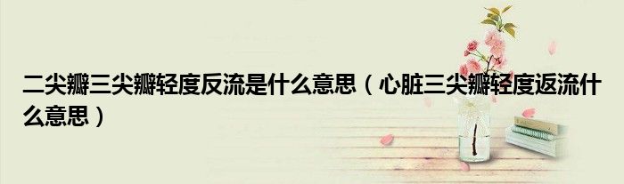 二尖瓣三尖瓣輕度反流是什么意思（心臟三尖瓣輕度返流什么意思）