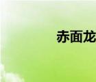 赤面龍進化過程（赤面龍）