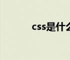 css是什么發(fā)動(dòng)機(jī)（css是什么）