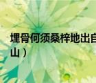 埋骨何須桑梓地出自哪首詩(shī)（埋骨何須桑梓地人生無(wú)處不青山）
