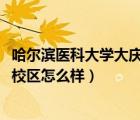 哈爾濱醫(yī)科大學(xué)大慶校區(qū)怎么樣2019（哈爾濱醫(yī)科大學(xué)大慶校區(qū)怎么樣）