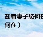 卻看妻子愁何在漫卷詩(shī)書(shū)喜欲狂（卻看妻子愁何在）