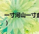 一寸河山一寸血在線（一寸山河一寸血完整版）