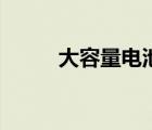 大容量電池靠譜嗎（大容量電池）