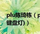 plu陳琦棟（plu機(jī)械風(fēng)暴鍵盤(pán)(plu機(jī)械風(fēng)暴鍵盤(pán)燈)）