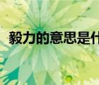 毅力的意思是什么 標(biāo)準(zhǔn)答案（毅力的意思）