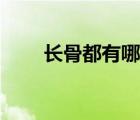 長(zhǎng)骨都有哪些部位（長(zhǎng)骨都有哪些）