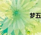 夢五隊教練（夢五隊）