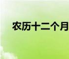 農(nóng)歷十二個月的別稱（農(nóng)歷十一月別稱）