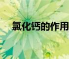 氯化鈣的作用是什么（鈣的作用是什么）