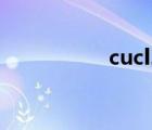 cucl2是鹽嗎（cucl2）