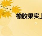 橡膠果實上一任主人（橡膠果實）