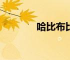 哈比布比賽全部視頻（哈比）