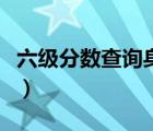 六級分?jǐn)?shù)查詢身份證號（身份證號查六級成績）