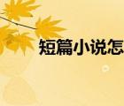 短篇小說(shuō)怎么投稿（小說(shuō)怎么投稿）
