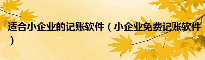 適合小企業(yè)的記賬軟件（小企業(yè)免費記賬軟件）