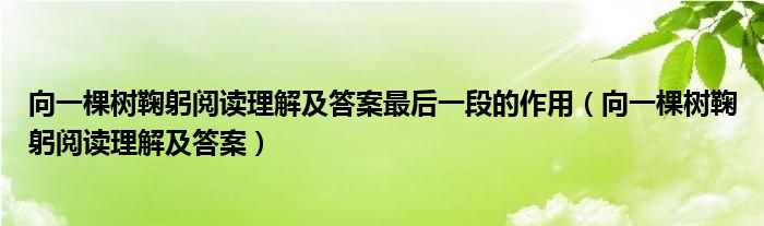 向一棵樹鞠躬閱讀理解及答案最后一段的作用（向一棵樹鞠躬閱讀理解及答案）