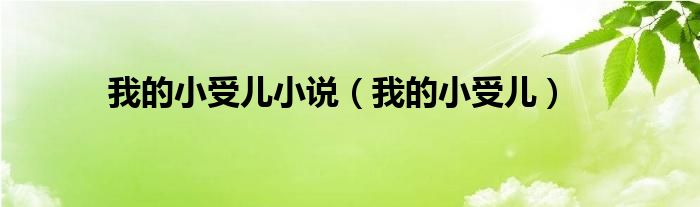 我的小受兒小說（我的小受兒）