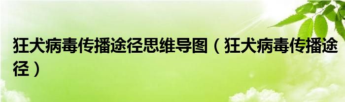 狂犬病毒傳播途徑思維導圖（狂犬病毒傳播途徑）