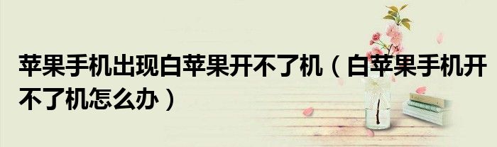 蘋果手機(jī)出現(xiàn)白蘋果開不了機(jī)（白蘋果手機(jī)開不了機(jī)怎么辦）