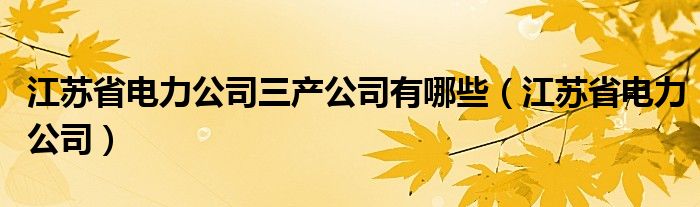 江蘇省電力公司三產(chǎn)公司有哪些（江蘇省電力公司）