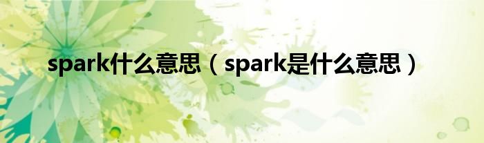 spark什么意思（spark是什么意思）