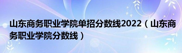 山東商務(wù)職業(yè)學(xué)院單招分數(shù)線2022（山東商務(wù)職業(yè)學(xué)院分數(shù)線）